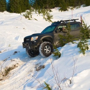 Jessie's Truck 1