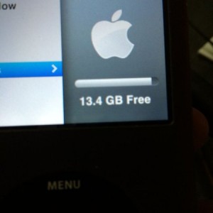 13.4gB free on my dads 180GB iPod