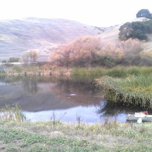20131126_164125