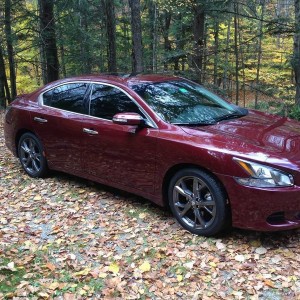 maxima
