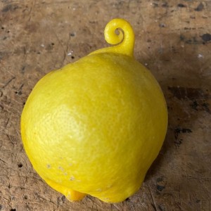 Curley lemon…