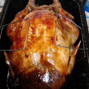 Big birdie :hungry: Sent from my Verizon Wireless Smartphone