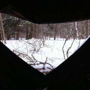 The view from here!
