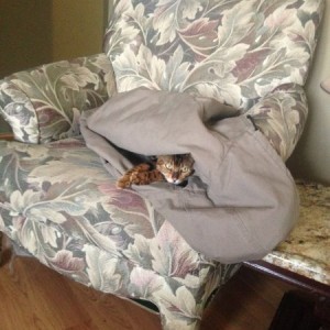 Sleeping in my jacket.