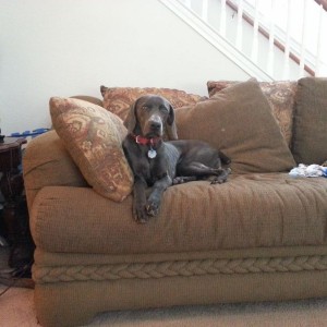 Just chillin