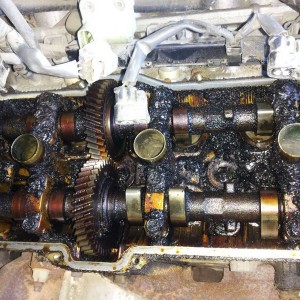 Side of sludge anyone? Found this poor 3.4 at the salvage yard. I was looki