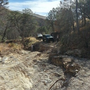 jeep61