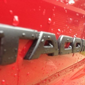 Plasti dip