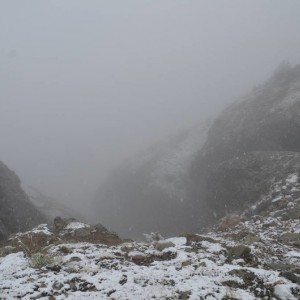 Lake O'Hara