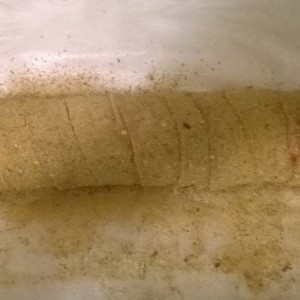 WP_20131127_003