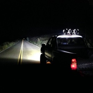 3 7" HID's w/ 40" LED bar