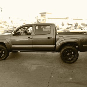 Love my Taco!