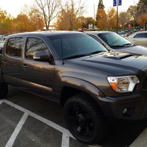Love my Taco!