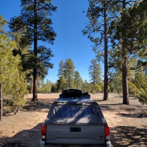 Apache-Sitgreaves NF