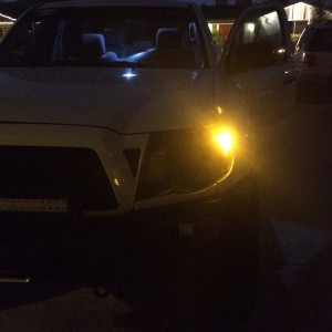 liveF8TQDF