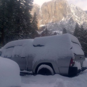More Yosemite Tits