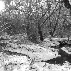 Snow