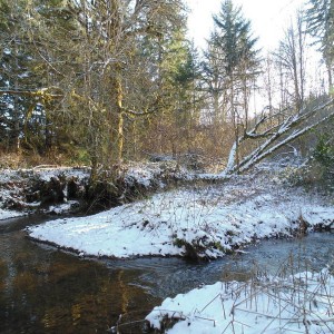 Snowy Creek