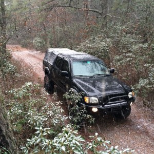 Trail ride in the pines