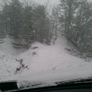 First tits of the winter. Woot!