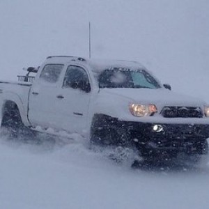 2014 tacoma in the snow