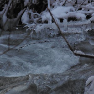 Water!
