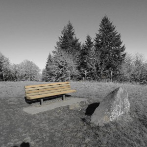 Yellow Bench!
