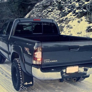 2009 taco