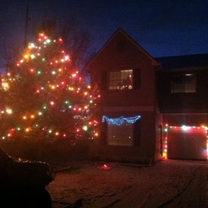 Yay. Lights up again! Festive!