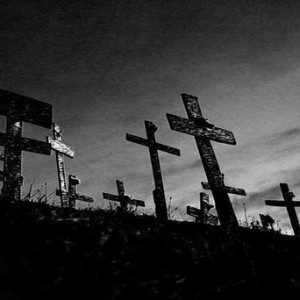 In_the_Last_Remaining_Light_copy1
