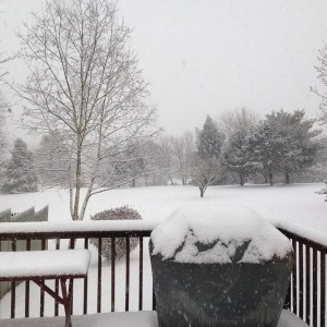 :woot: Let it snow!