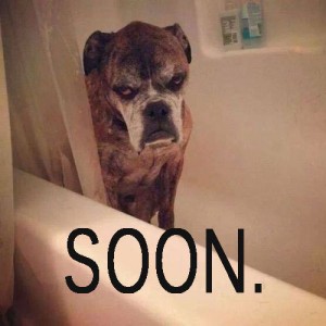 Soon1
