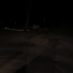 Reverse light upgrade - before - stock bulbs