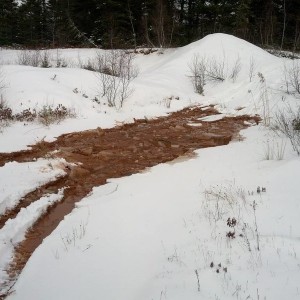 Playing in the snow!