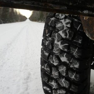 Playing in the snow!