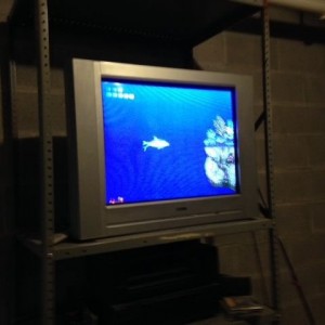 My 7 year old son is playing the old Sega Genesis, and I still hate Echo th