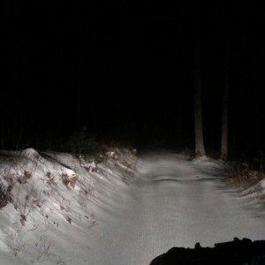 First tracks. Love.