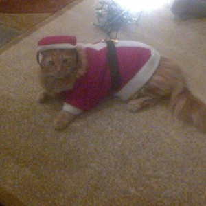 Merry-freaking-Christmas