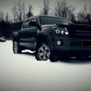 Snow Taco 2