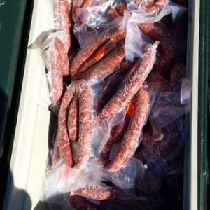 100 quart cooler full of East Texas buck. 