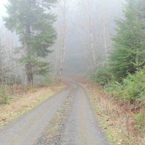 DSC010021