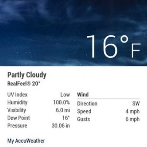 16 and foggy. Creates interesting frost.