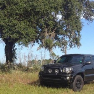 My truck in it's natural habitat