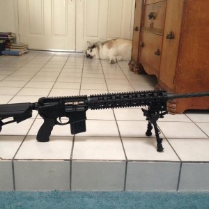 AR-15