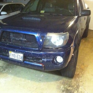 Deer damage