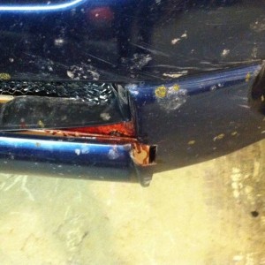 Deer carnage