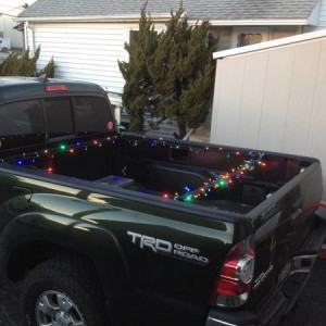 christmas lights in bed