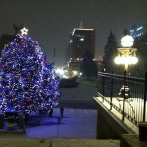 Boise Christmas tree