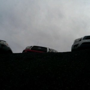 Noses2