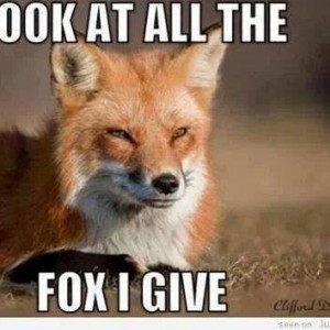 fox_i_give